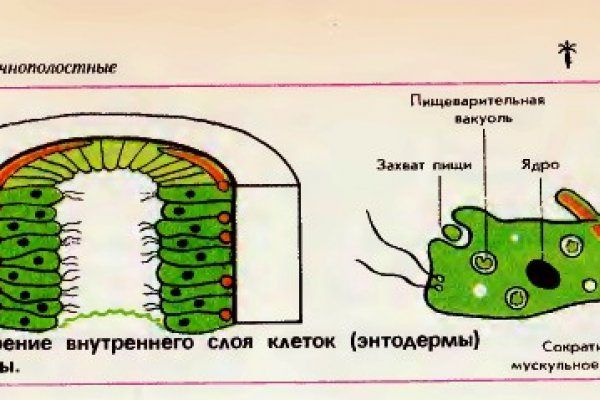 Как зайти в кракен с айфона